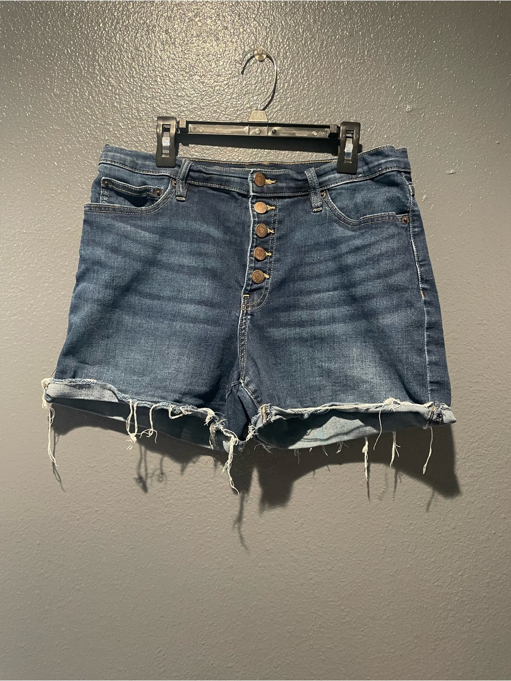 Calvin Klein Jeans Women’s 12/31 Denim Shorts Button Fly Raw Hem High Rise